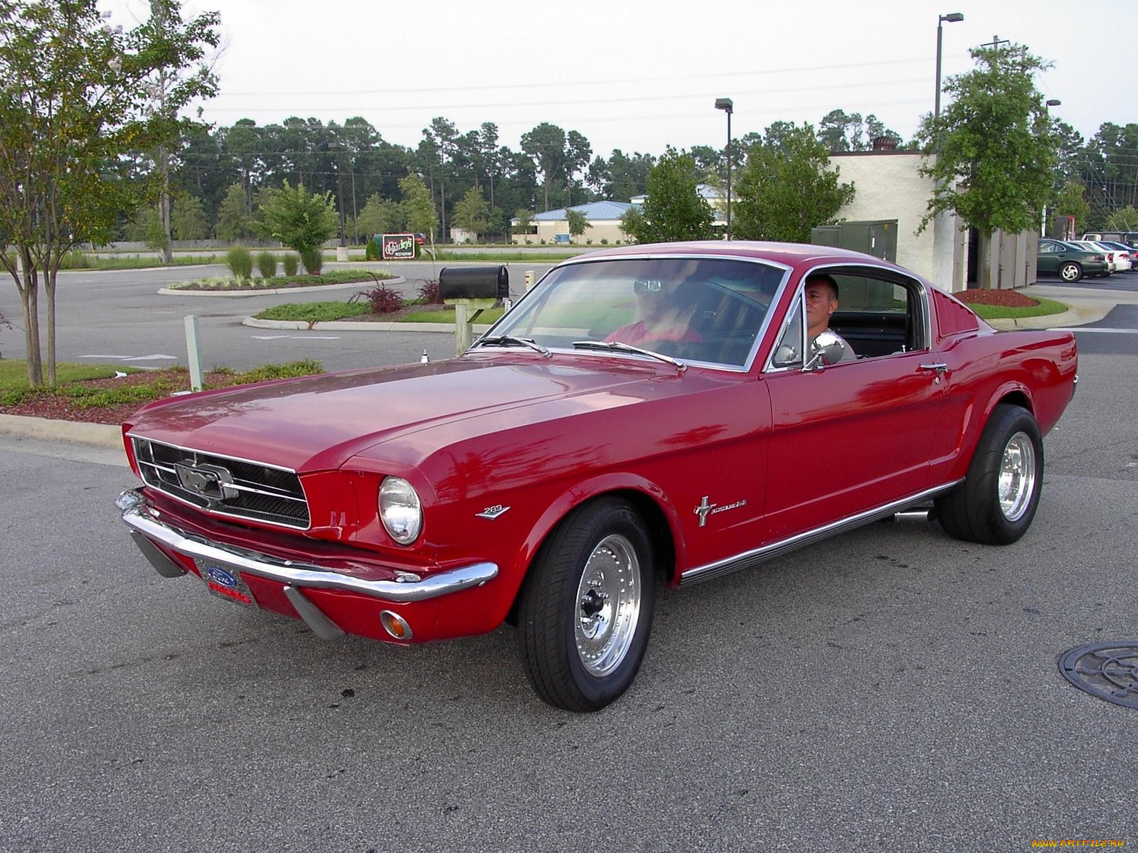 1965, ford, mustang, fastback, classic, 